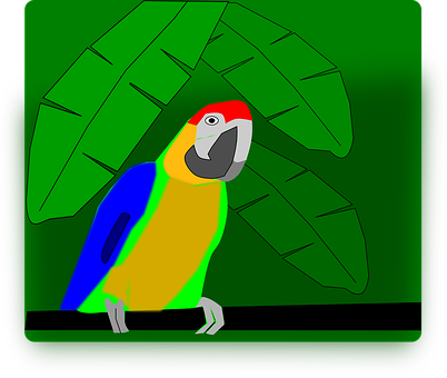 Colorful Parrot Illustration