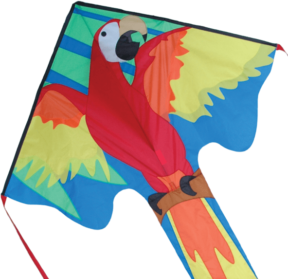 Colorful Parrot Kite Flying Toy