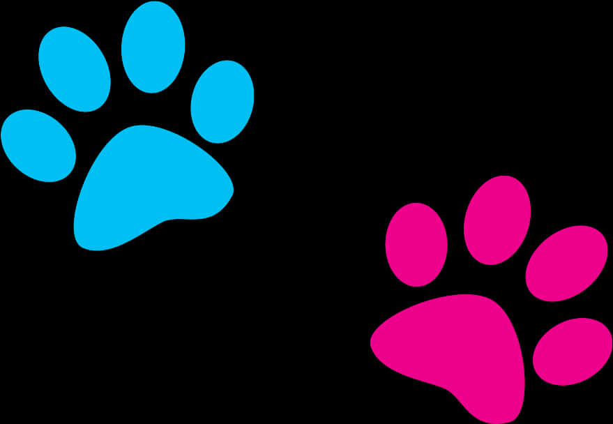 Colorful Paw Prints Illustration