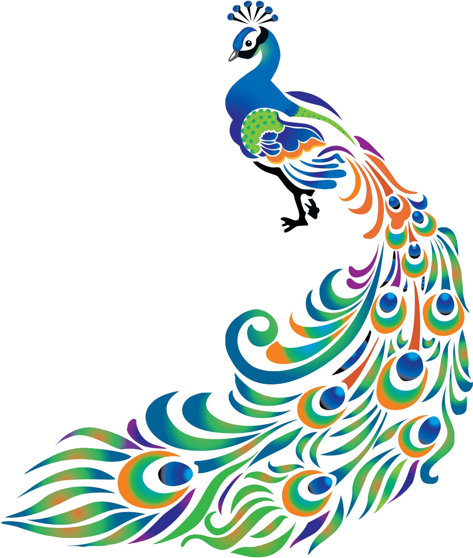 Colorful Peacock Artwork