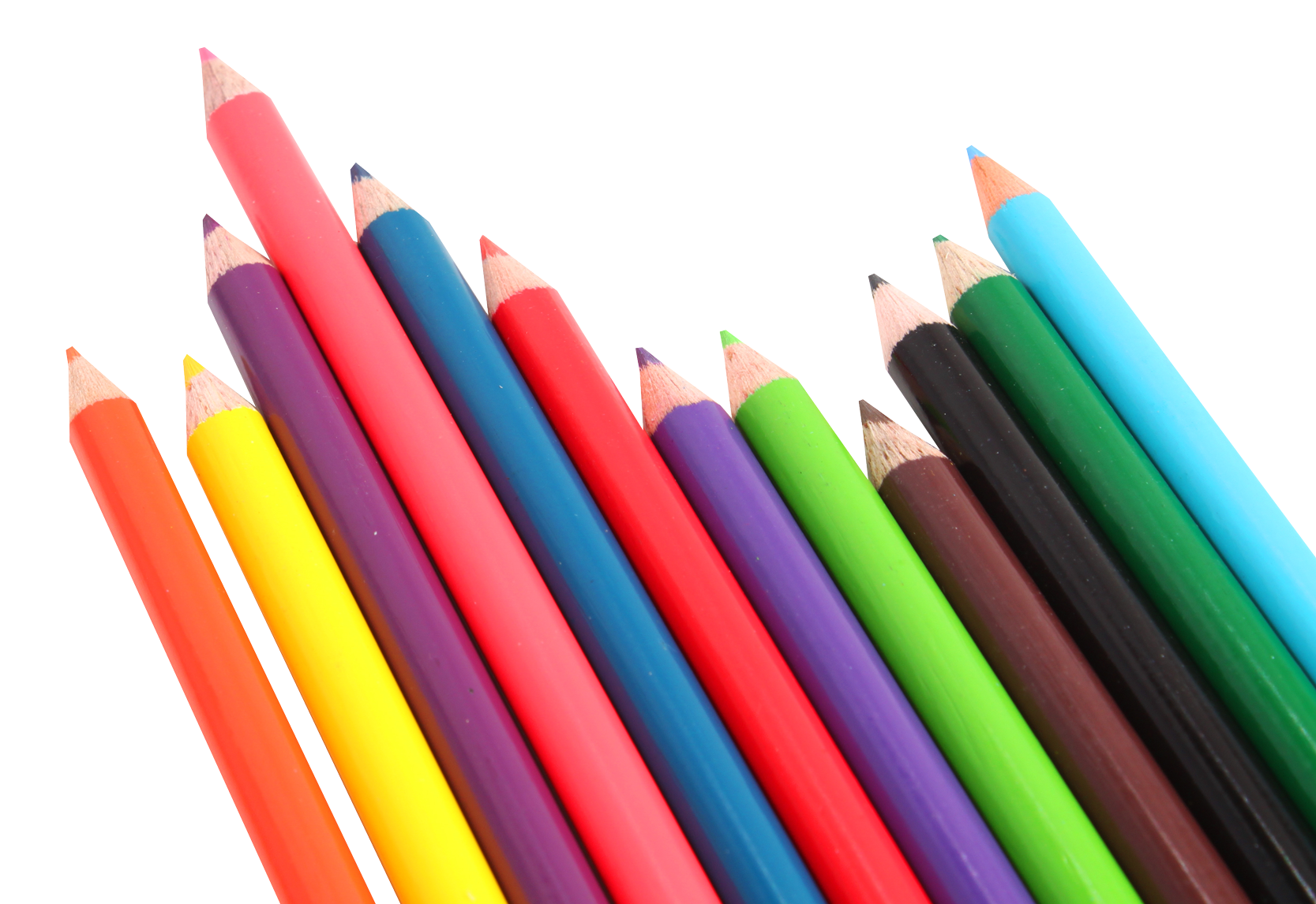 Colorful Pencils Arrangement