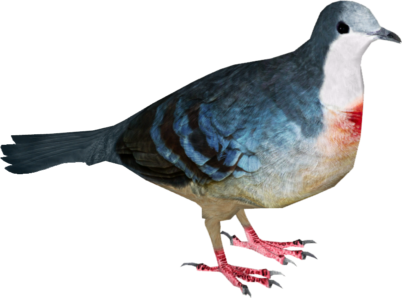 Colorful Pigeon Profile