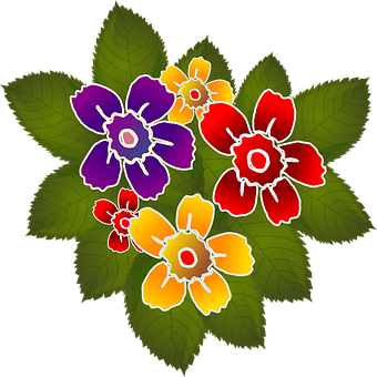 Colorful Primrose Illustration