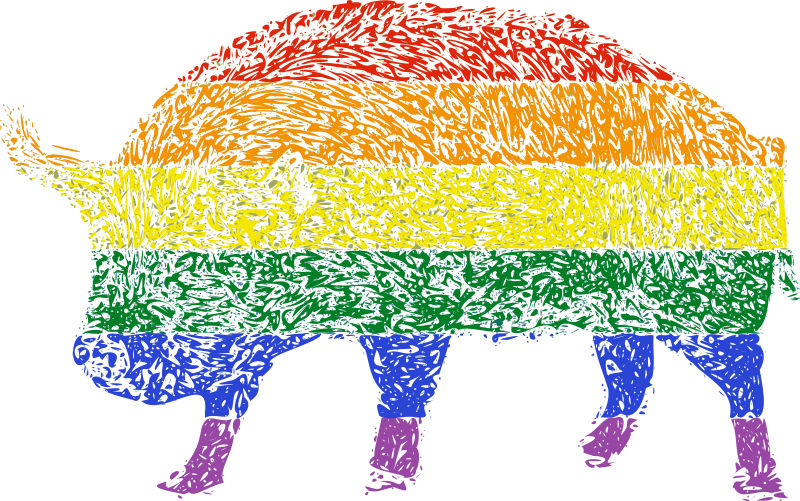 Colorful Rhino Silhouette Rainbow Background
