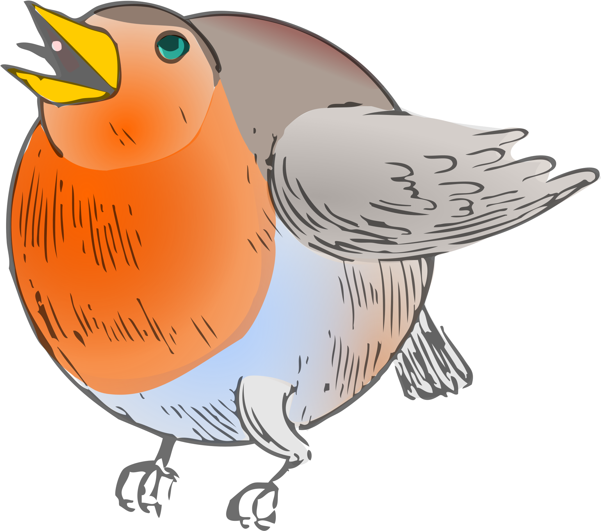 Colorful Robin Illustration.png