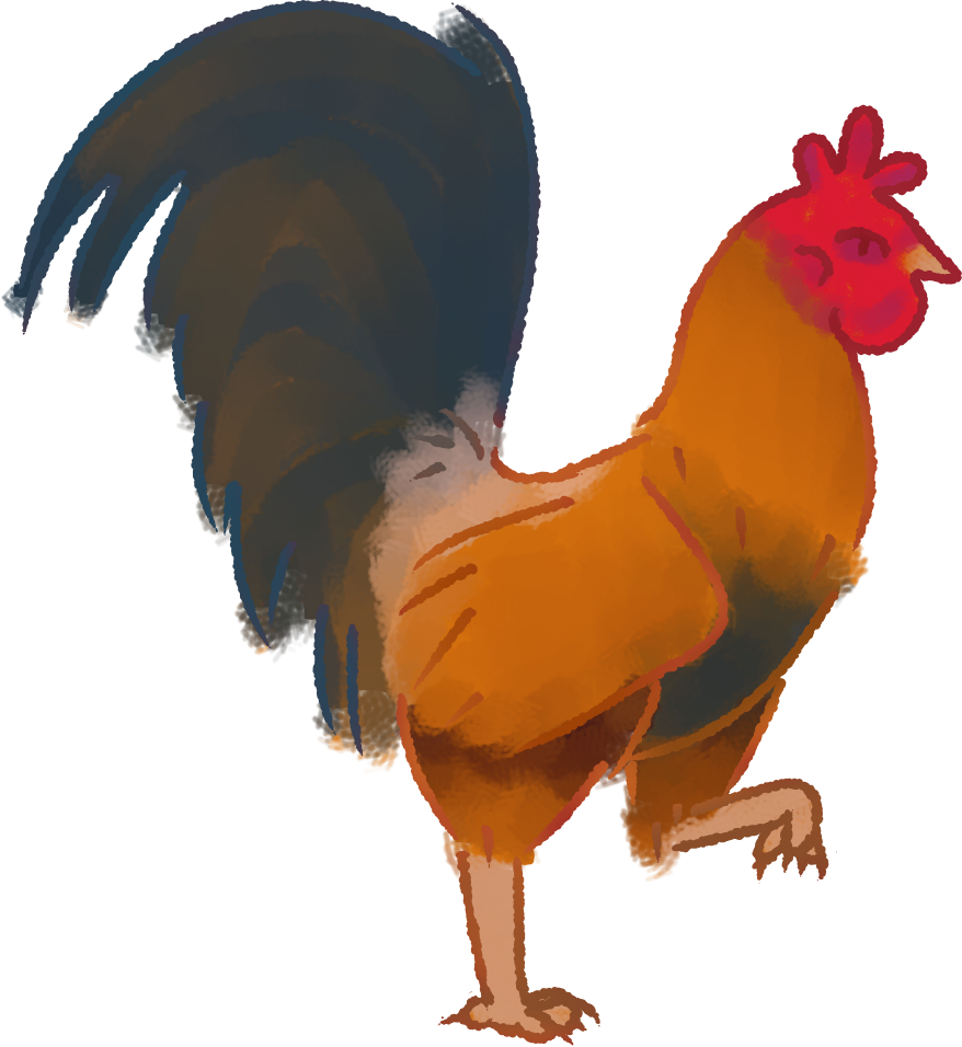 Colorful Rooster Illustration