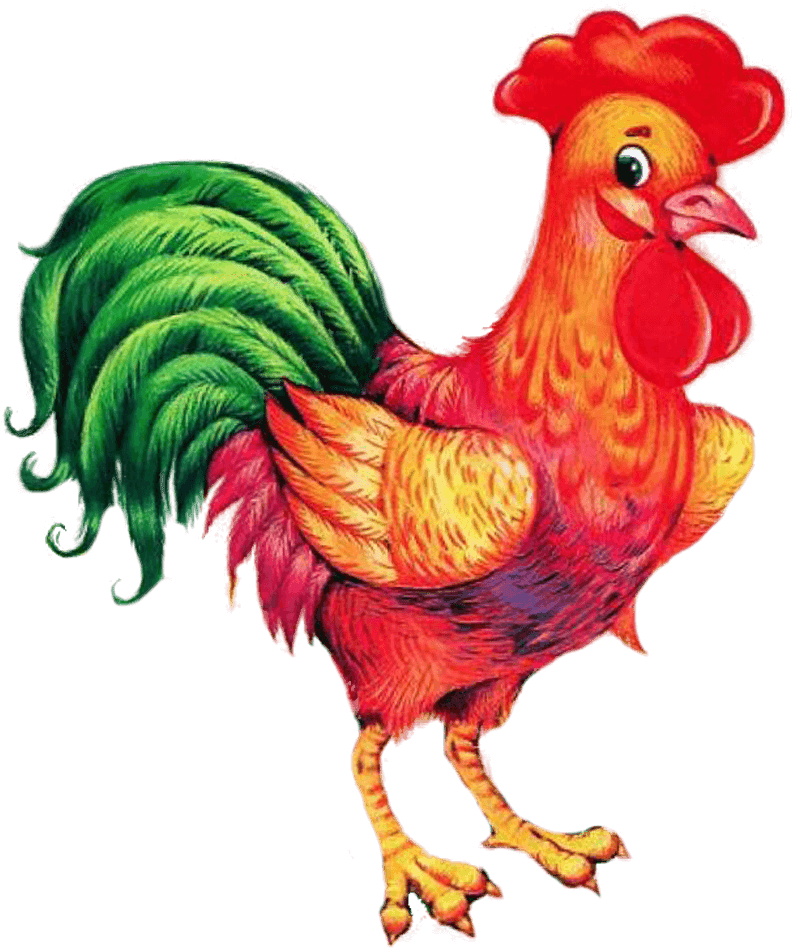 Colorful Rooster Illustration