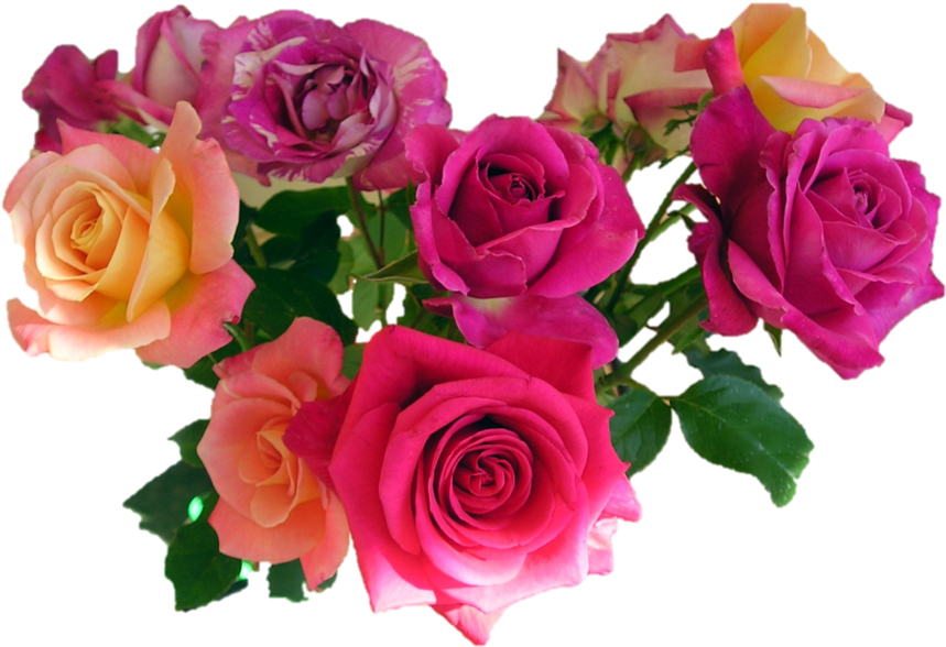 Colorful Rose Bouquet Transparent Background