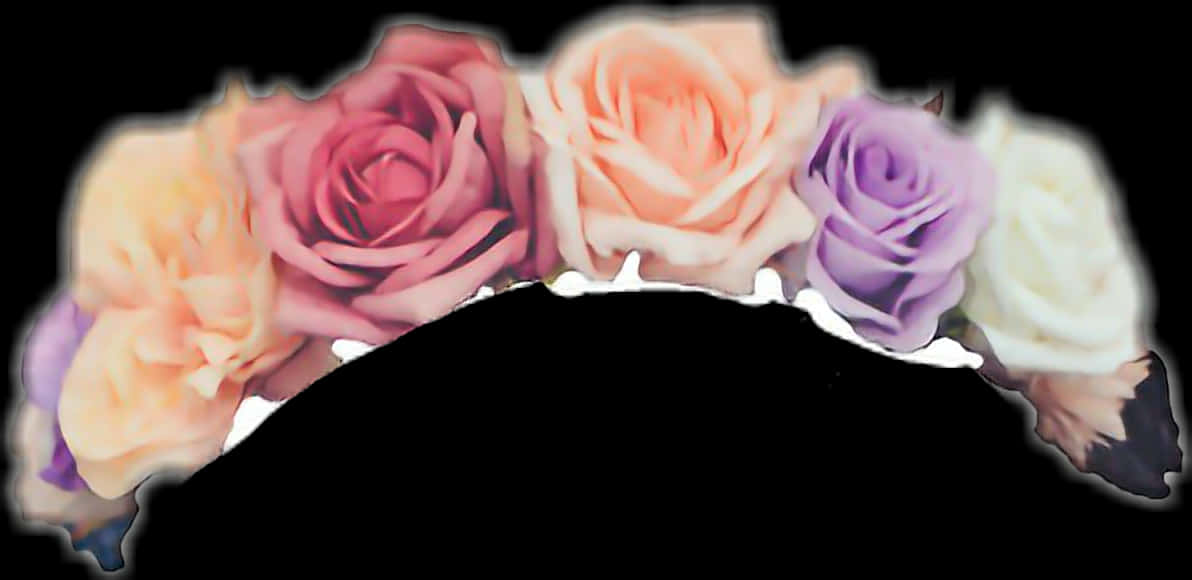 Colorful Roses Gradient Background