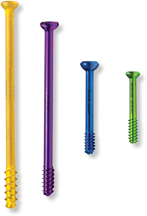 Colorful Screws Set