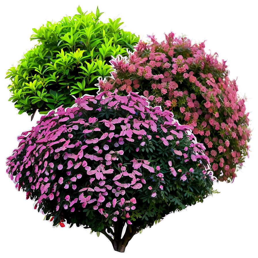 Colorful Shrubs Png 44