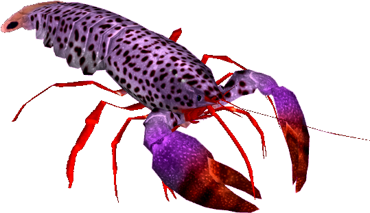 Colorful Spotted Lobster