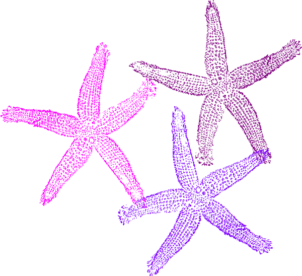Colorful Starfish Clipart