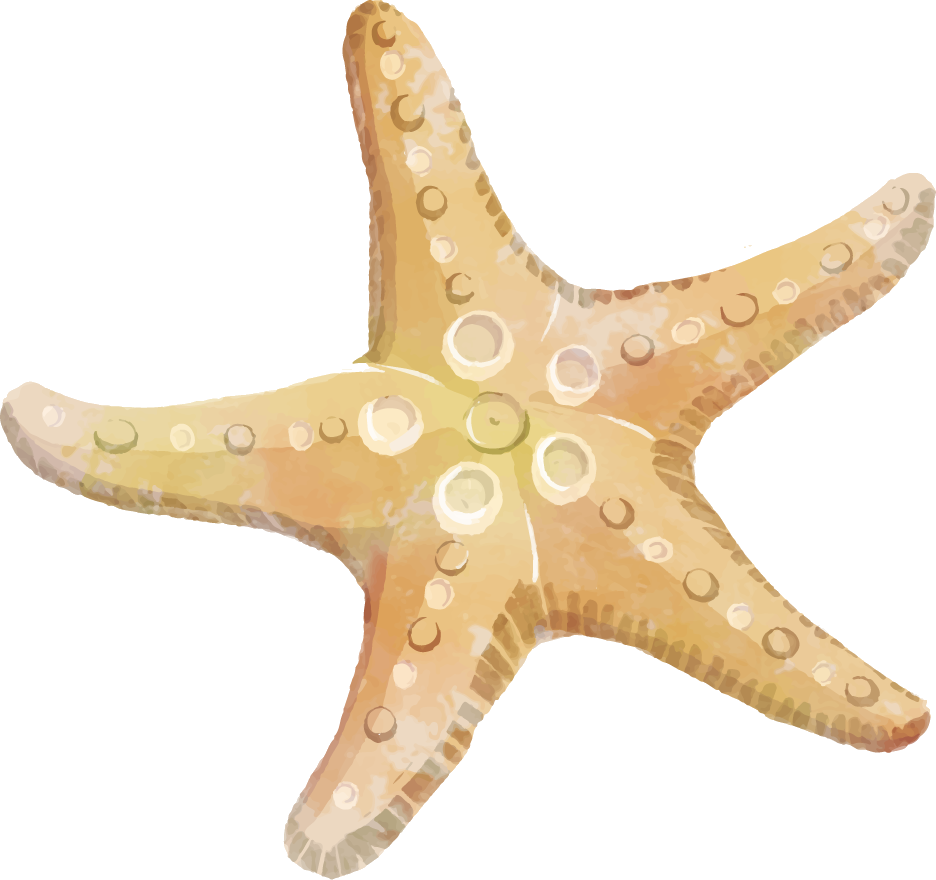 Colorful_ Starfish_ Clipart