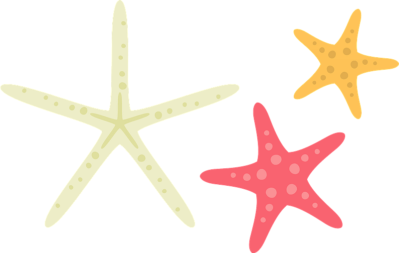 Colorful Starfish Clipart