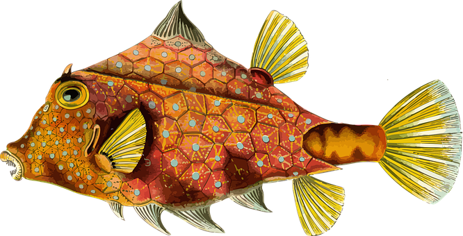Colorful Thornback Cowfish Illustration
