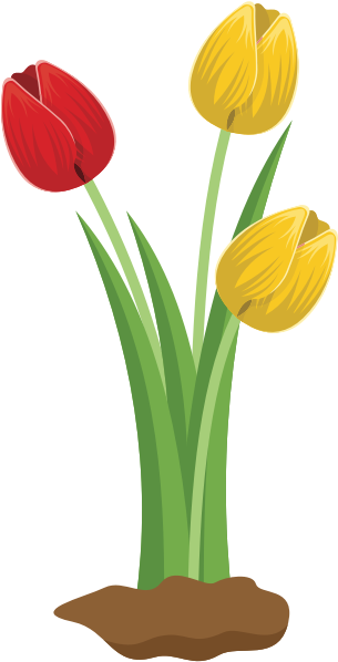 Colorful Tulips Illustration