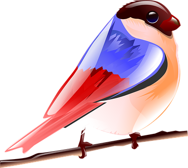 Colorful Vector Bird Illustration