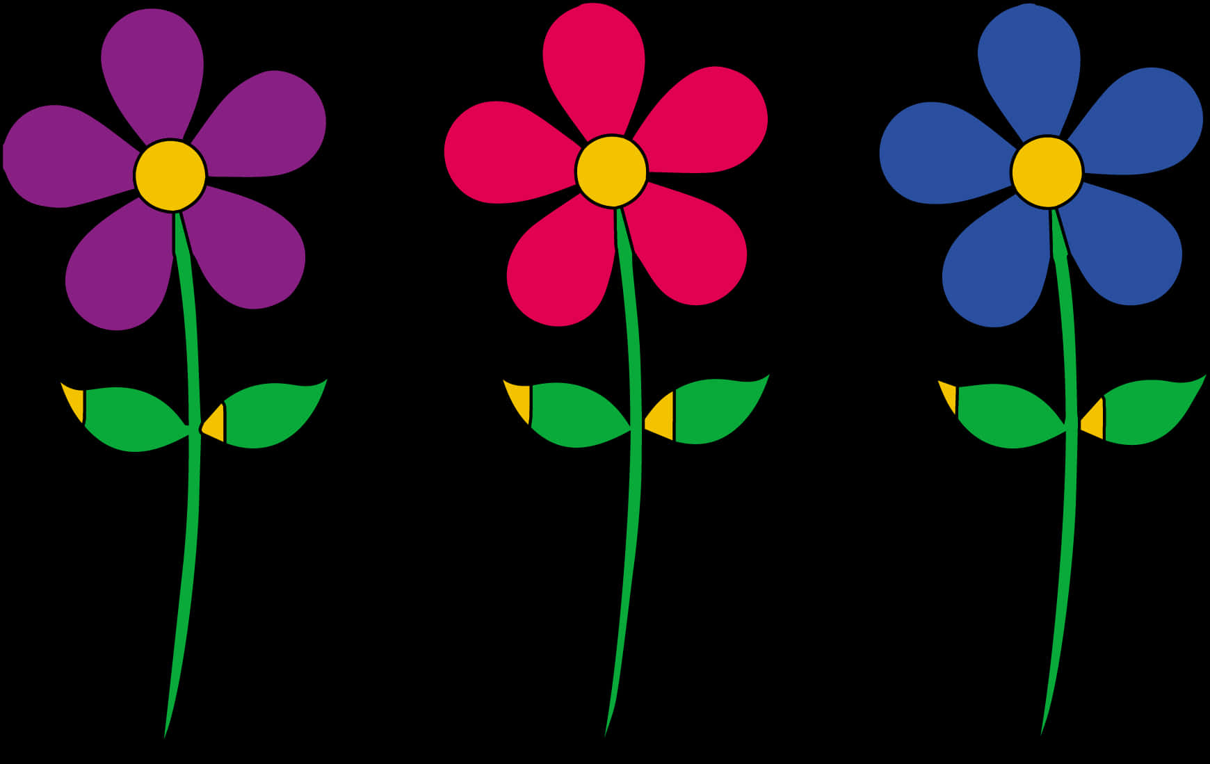 Colorful Vector Daisies