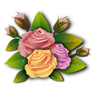 Colorful Vector Roses Illustration