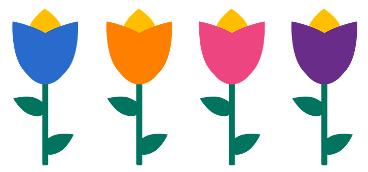 Colorful Vector Tulips Illustration
