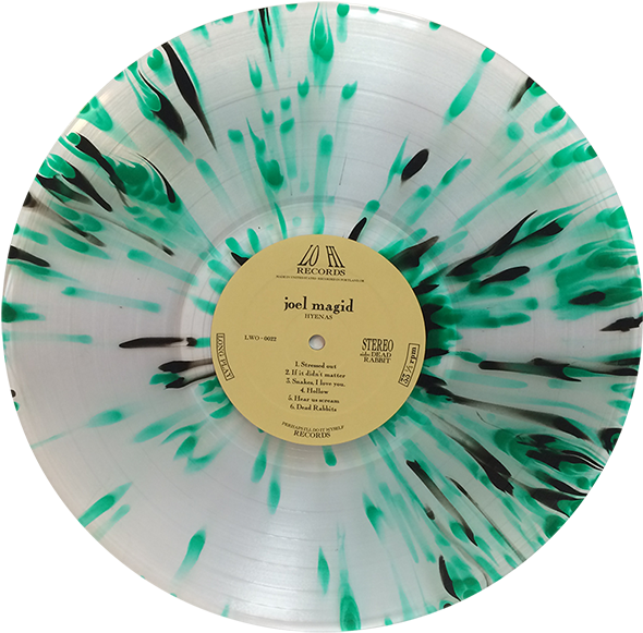 Colorful Vinyl Record Joel Magid Hyenas