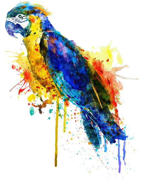 Colorful Watercolor Parrot Artwork