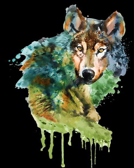 Colorful Watercolor Wolf Artwork