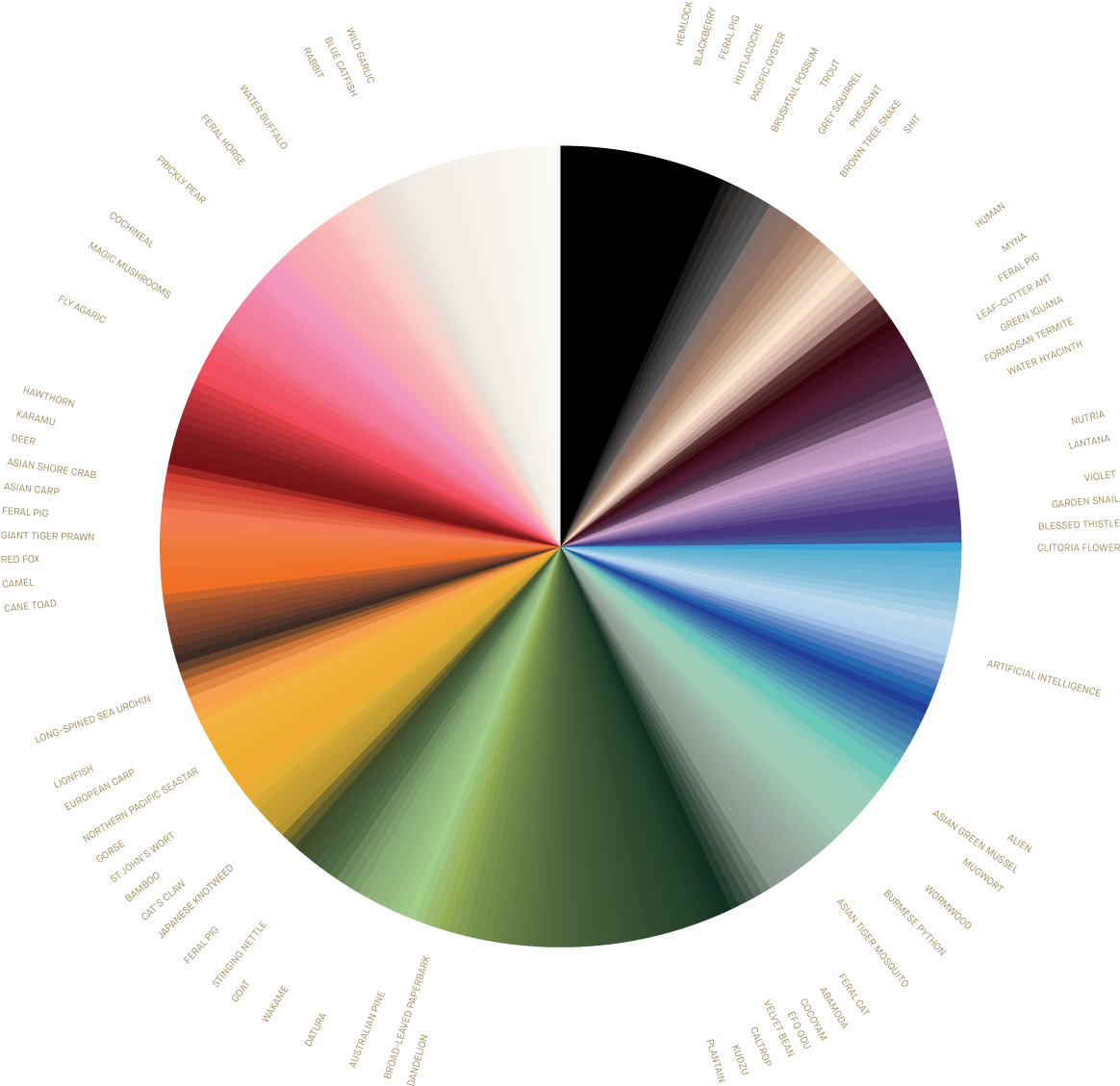 Colorful Wheel Chart Visualization