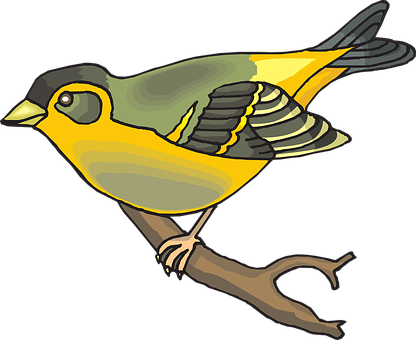 Colorful Yellow Bird Illustration