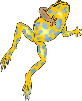 Colorful Yellow Blue Frog Illustration