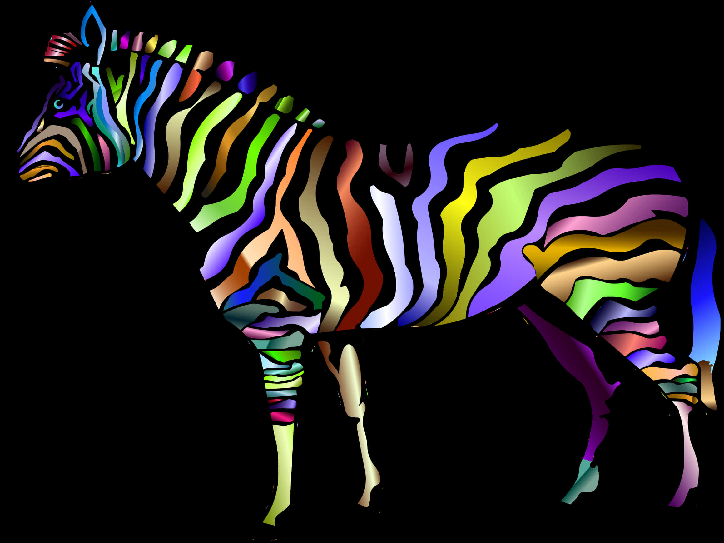 Colorful Zebra Artwork