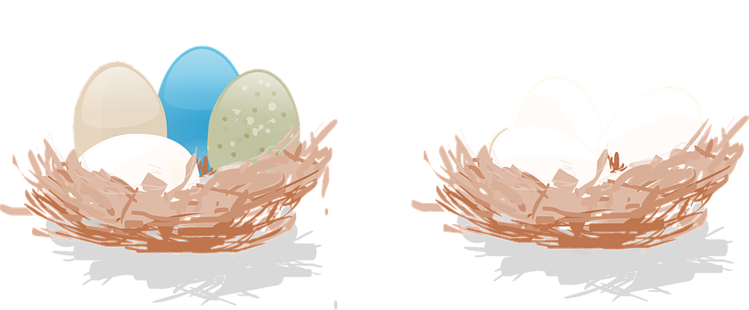 Colorfuland Plain Eggsin Nests