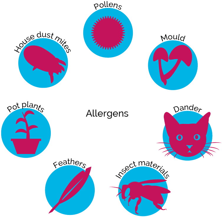 Common Allergens Chart