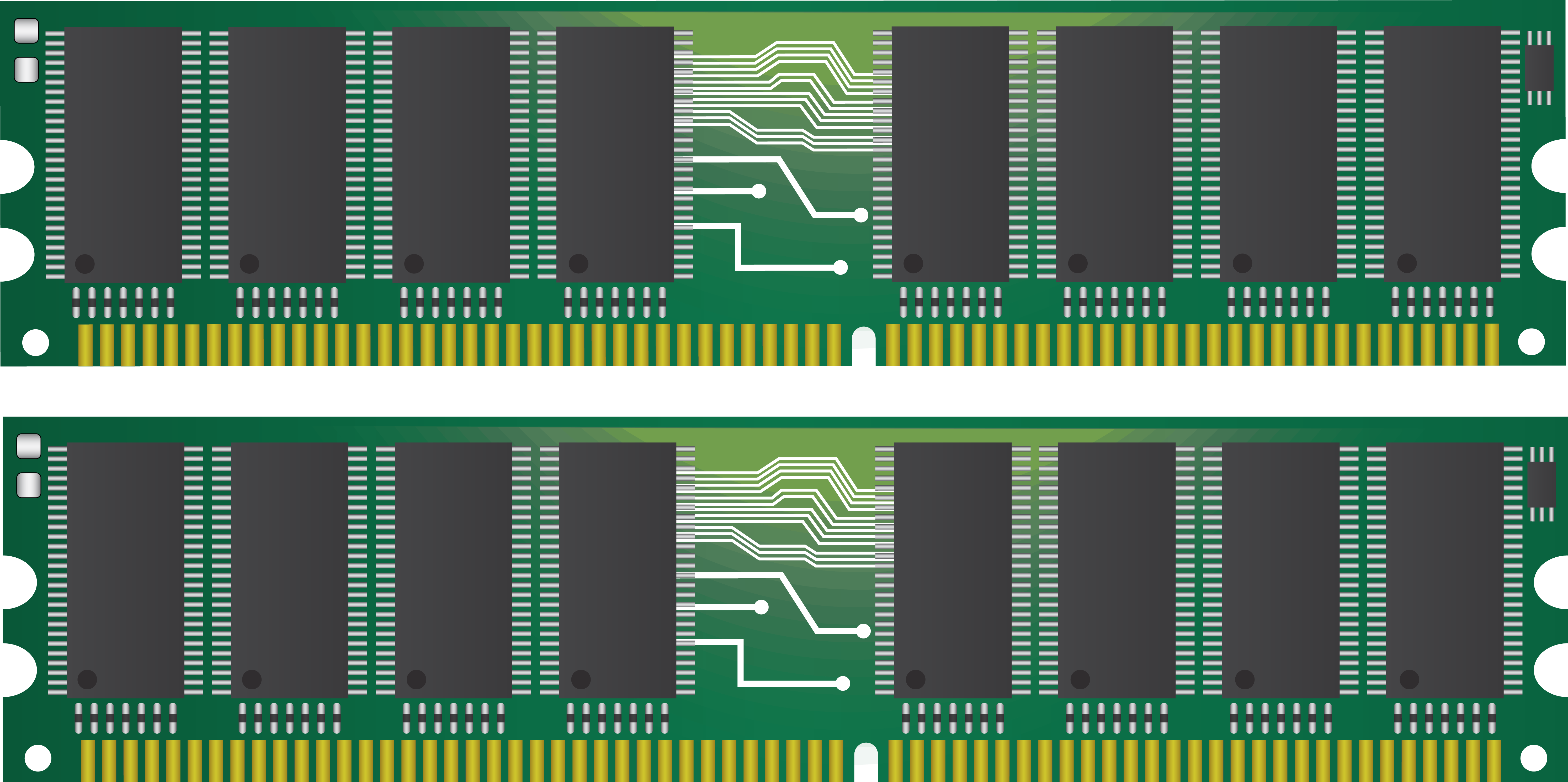 Computer R A M Modules Top View