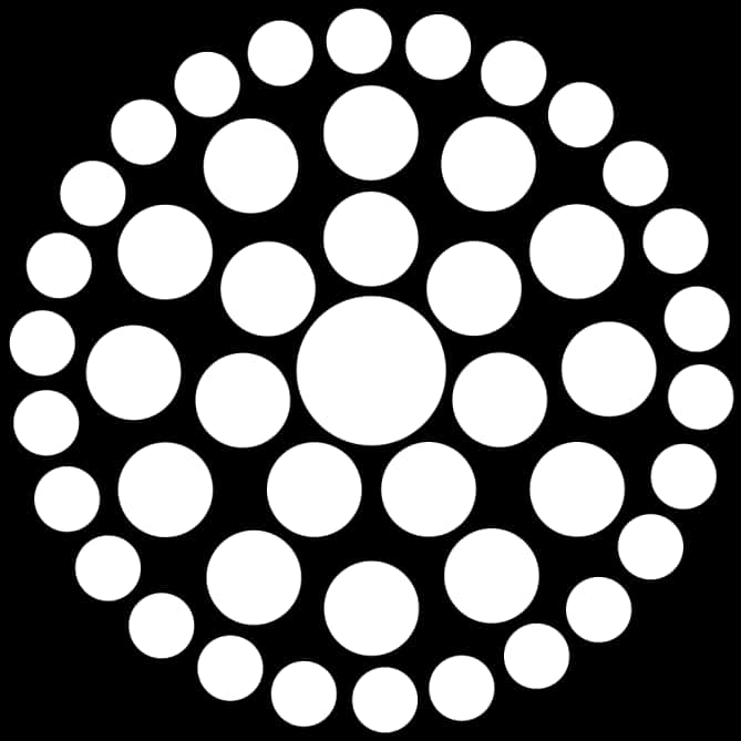 Concentric Circles Blackand White Pattern