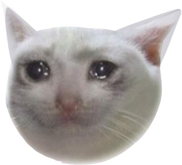 Concerned Cat Meme Face.png | PNGpix.com