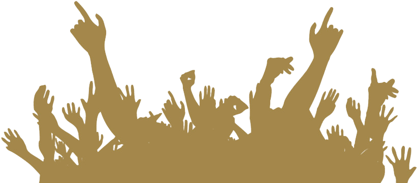 Concert Crowd Silhouette