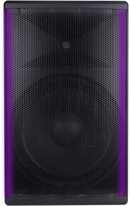 Concert Speaker Closeup.jpg