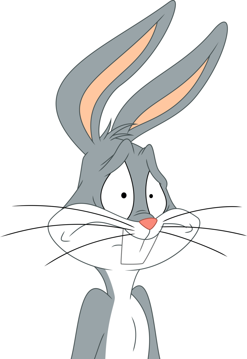 Confused Cartoon Bunny