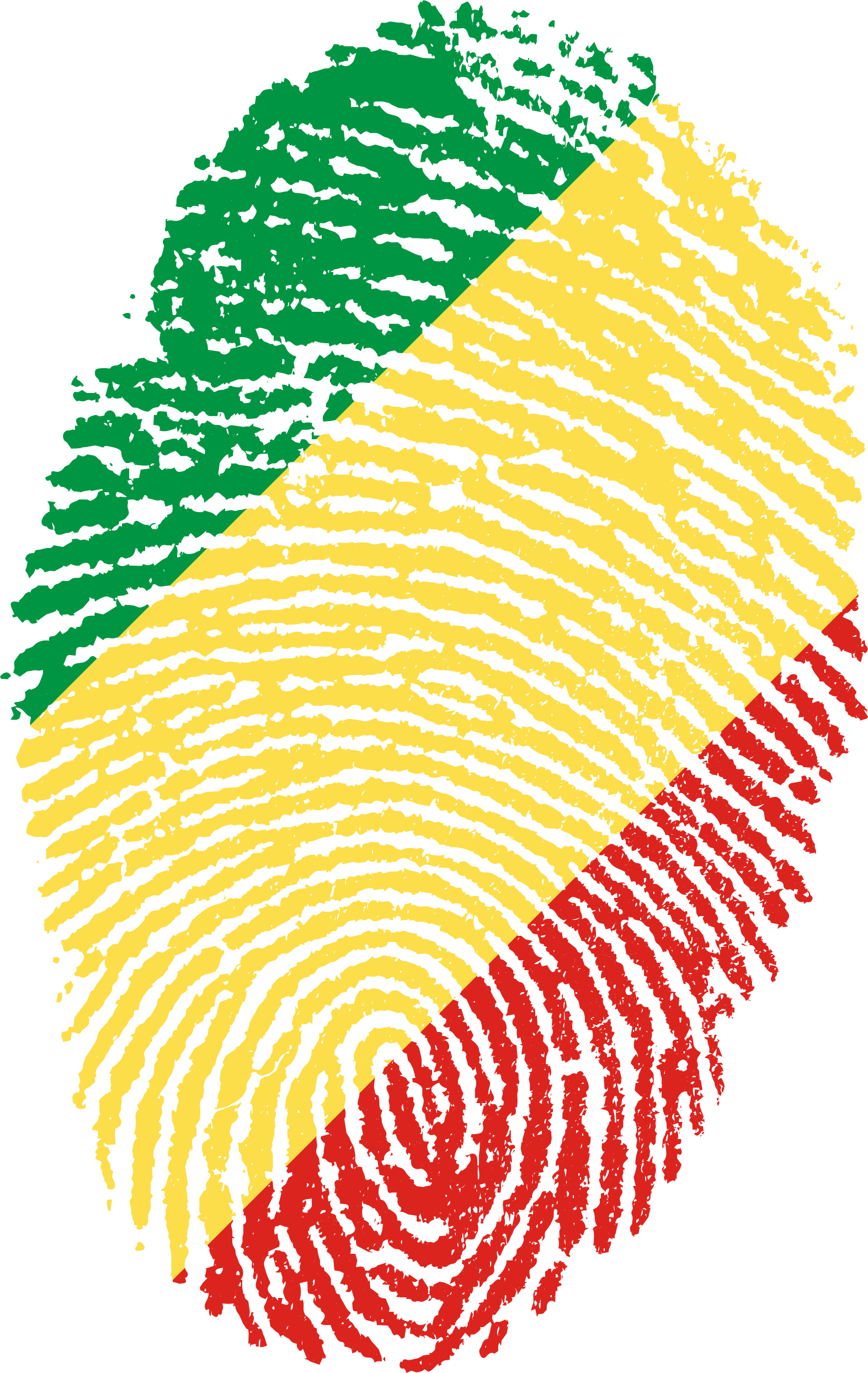 Congo Flag Fingerprint Pattern