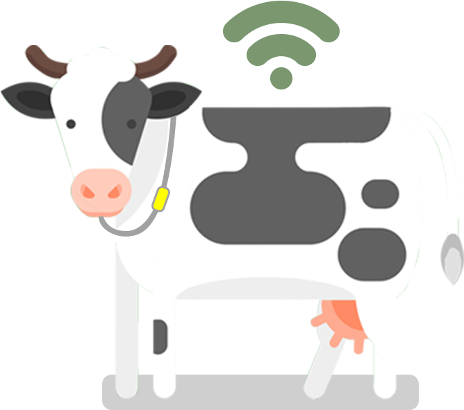 Connected Cow Cartoon Illustration