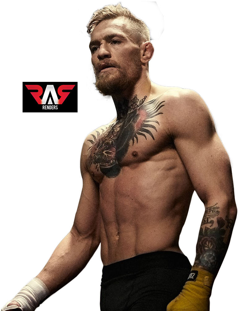 Conor Mc Gregor Confident Stance