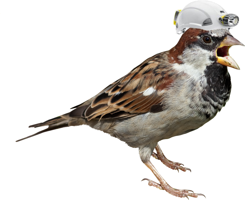 Construction Worker Sparrow.png