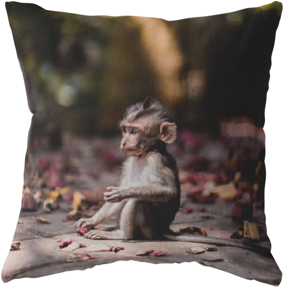 Contemplative Young Monkey