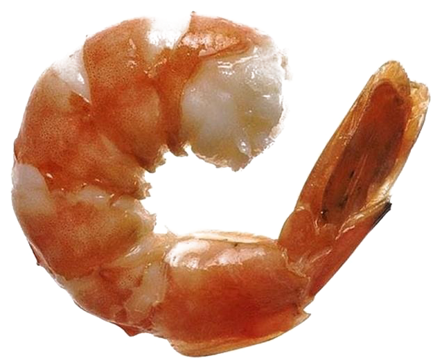 Cooked Shrimp Transparent Background