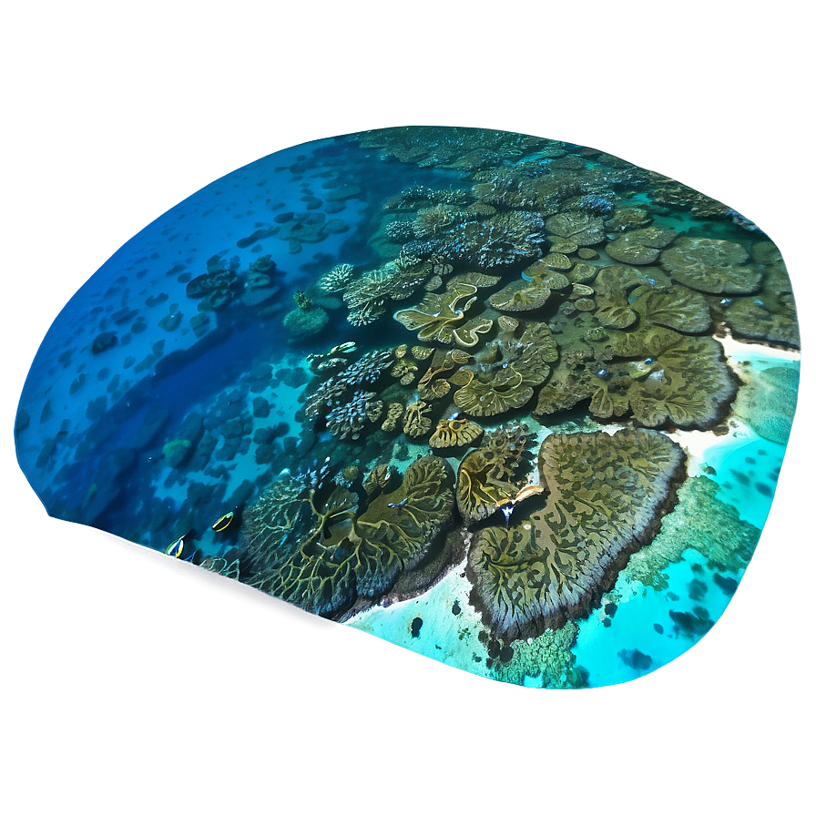 Coral Reef Aerial View Png Ips4