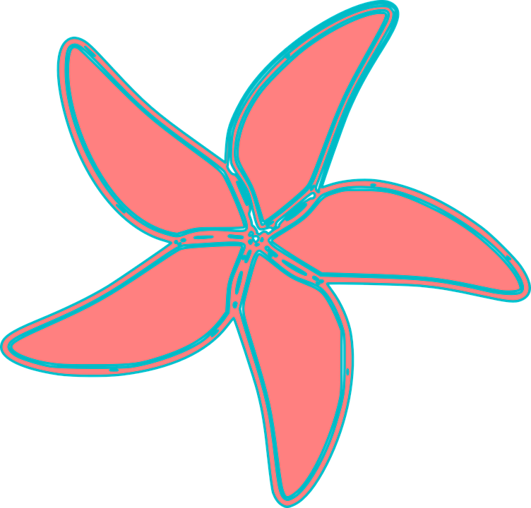 Coral_ Starfish_ Clipart_ Vector