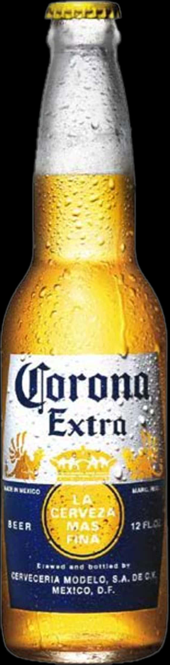 Corona Extra Beer Bottle