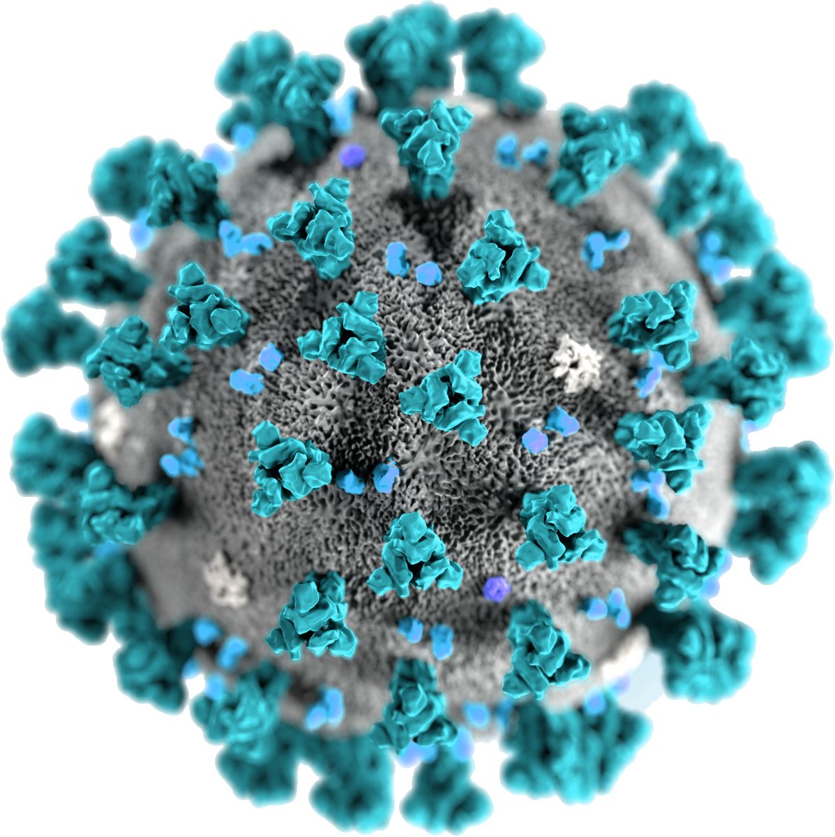 Coronavirus Closeup3 D Rendering